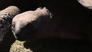 Fregate Island Private - опыт гостя: лагуны, риф и морская рыбалка