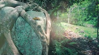 Fregate Island Private - опыт гостя: лагуны, риф и морская рыбалка