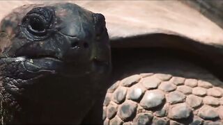 Fregate Island Private - опыт гостя: лагуны, риф и морская рыбалка