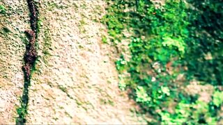 Fregate Island Private - опыт гостя: лагуны, риф и морская рыбалка