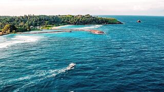Fregate Island — восстановление кораллов: влияет ли на клев у рифа?