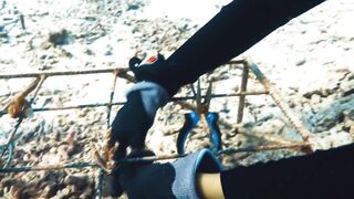 Fregate Island — восстановление кораллов: влияет ли на клев у рифа?