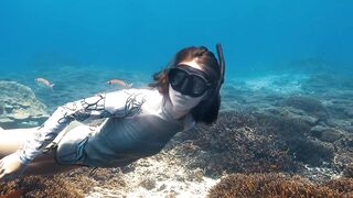 Fregate Island — восстановление кораллов: влияет ли на клев у рифа?