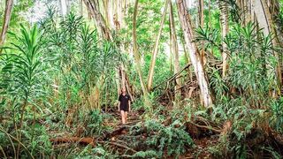 Fregate Island — восстановление кораллов: влияет ли на клев у рифа?