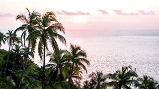 Fregate Island — восстановление кораллов: влияет ли на клев у рифа?