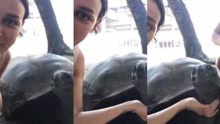 Curieuse, Сейшелы — черепахи и запреты: разрешена ли рыбалка рядом?