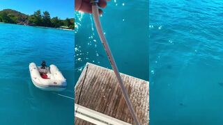 Curieuse Island — яхтинг и лагуны: морская рыбалка на Сейшелах в тихих бухтах