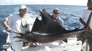 Seychelles, Curieuse - чартер ANGEL TOURS: морская рыбалка на целый день