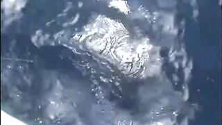 Seychelles, Curieuse - чартер ANGEL TOURS: морская рыбалка на целый день