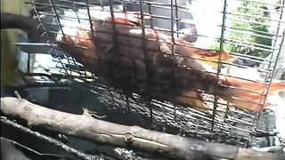 Seychelles, Curieuse - чартер ANGEL TOURS: морская рыбалка на целый день