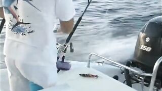 Seychelles, Curieuse - чартер ANGEL TOURS: морская рыбалка на целый день