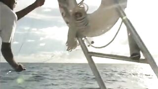 Seychelles, Curieuse - чартер ANGEL TOURS: морская рыбалка на целый день