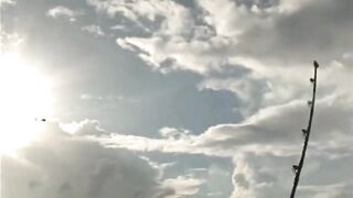 Seychelles, Curieuse - чартер ANGEL TOURS: морская рыбалка на целый день