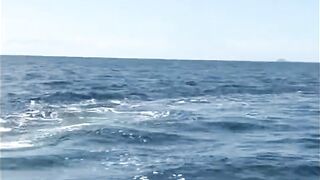 Seychelles, Curieuse - чартер ANGEL TOURS: морская рыбалка на целый день