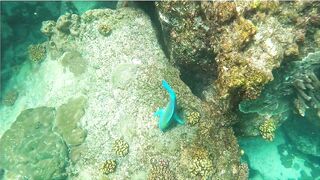 Curieuse Island, Seychelles — как добраться и где возможна рыбалка?