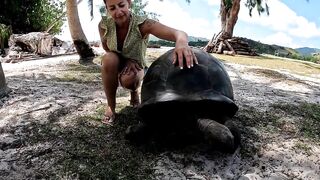 Curieuse Island, Seychelles — как добраться и где возможна рыбалка?