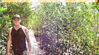 Curieuse Island, Seychelles — как добраться и где возможна рыбалка?