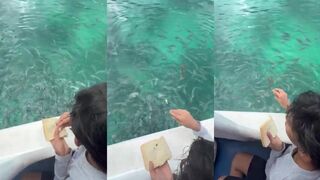 Большая тропическая рыба у берега: кто это клюнул сегодня?