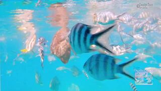 Сейшелы: экскурсия в Saint Anne — есть ли места для рыбалки с борта?