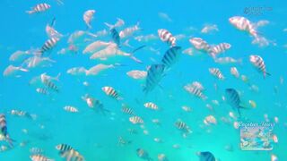 Сейшелы: экскурсия в Saint Anne — есть ли места для рыбалки с борта?