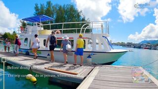 Сейшелы: экскурсия в Saint Anne — есть ли места для рыбалки с борта?