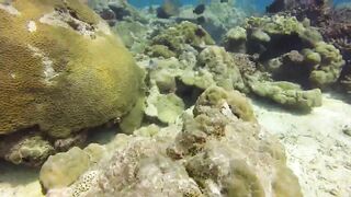 Saint Anne Marine Park - прозрачная вода и снорклинг у гранитов