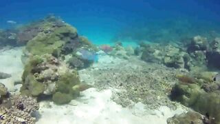 Saint Anne Marine Park - прозрачная вода и снорклинг у гранитов