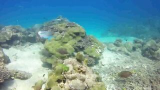 Saint Anne Marine Park - прозрачная вода и снорклинг у гранитов