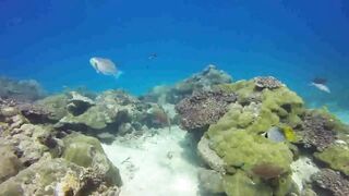 Saint Anne Marine Park - прозрачная вода и снорклинг у гранитов