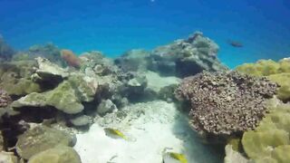 Saint Anne Marine Park - прозрачная вода и снорклинг у гранитов