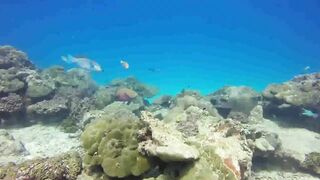 Saint Anne Marine Park - прозрачная вода и снорклинг у гранитов