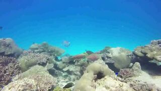 Saint Anne Marine Park - прозрачная вода и снорклинг у гранитов