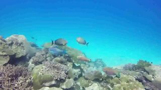 Saint Anne Marine Park - прозрачная вода и снорклинг у гранитов