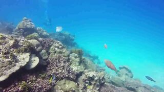 Saint Anne Marine Park - прозрачная вода и снорклинг у гранитов