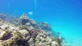 Saint Anne Marine Park - прозрачная вода и снорклинг у гранитов