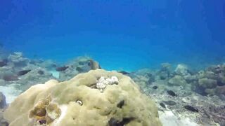 Saint Anne Marine Park - прозрачная вода и снорклинг у гранитов