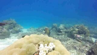 Saint Anne Marine Park - прозрачная вода и снорклинг у гранитов