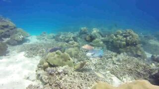 Saint Anne Marine Park - прозрачная вода и снорклинг у гранитов