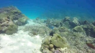 Saint Anne Marine Park - прозрачная вода и снорклинг у гранитов