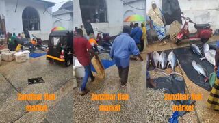 Zanzibar fish market: где взять свежий тунец после рыбалки?