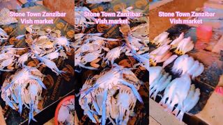 Zanzibar, Stone Town — главный рыбный рынок: где торгуются капитаны