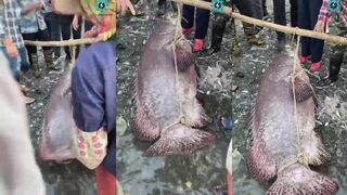 Hainan, China — группер 200+ lb: морская рыбалка по тяжелым свалам реально?