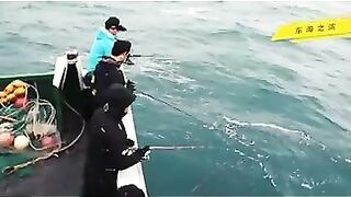 Восточно-Китайское море: как вести джиг по нефте-платформам и струям