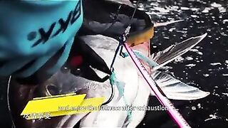 Восточно-Китайское море: как вести джиг по нефте-платформам и струям