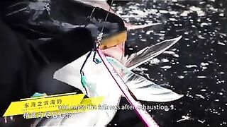 Восточно-Китайское море: как вести джиг по нефте-платформам и струям