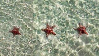 Cayo Guillermo, Cayo Coco — пляж Pilar, и будет ли рыбалка у канала?