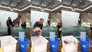 40-фунтовая рыба в Пекин: доставка трофея и свежий рынок