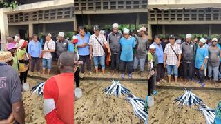 Пемба, Занзибар: аукцион на рыбном рынке и ночной лов