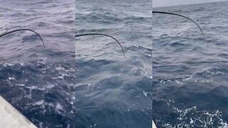 Восточно-Китайское море: дубль по парусным морским лещам
