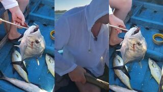 Бентота - лодочный тур: рыбалка в манграх и птицы над плесом